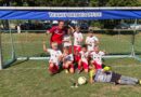 TSV Bergrheinfeld gewinnt den 2. Weyerer Sommer Cup der U9